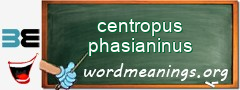 WordMeaning blackboard for centropus phasianinus